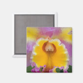 Aimant Orchidée hybride, Floride (Recto/Verso)