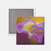 Aimant Orchidée hybride, Floride (Recto/Verso)