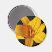 Aimant Orchidée jaune (Recto/Verso)