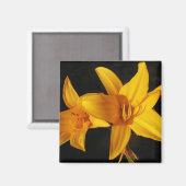 Aimant Orchidée jaune (Recto/Verso)