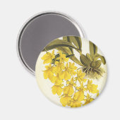 Aimant Orchidée Oncidium jaune vintage, fleurs tropicales (Recto/Verso)