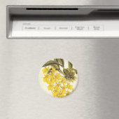 Aimant Orchidée Oncidium jaune vintage, fleurs tropicales (In Situ (Lave-vaisselle))