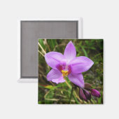 Aimant Orchidée sauvage violette Fleur tropicale (Recto/Verso)