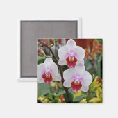 Aimant Orchidées (Recto/Verso)