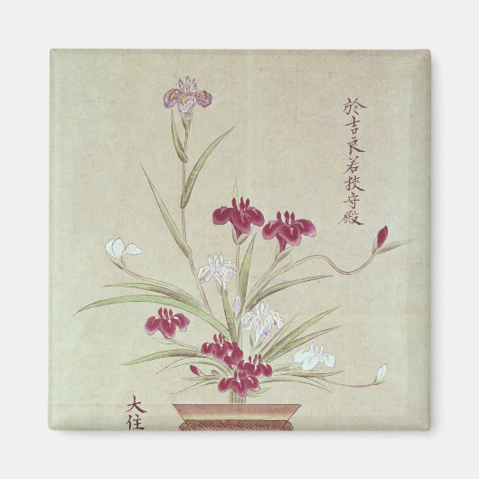 Aimant Orchidées (Devant)