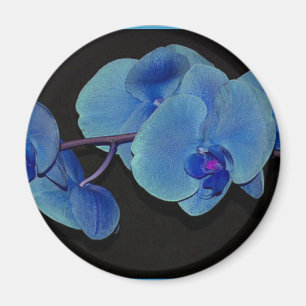 Aimant Orchidées
