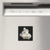 Aimant Orchidées blanches (In Situ (Lave-vaisselle))