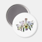 Aimant Orchidées blanches de Cattleya (Recto/Verso)