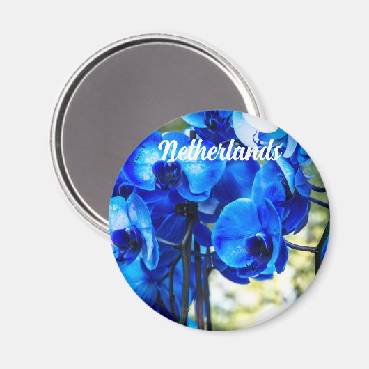 Aimant Orchidées bleues (Recto/Verso)