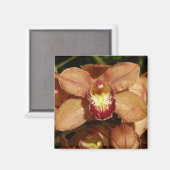 Aimant Orchidées de Pêche avec Raindrops Floral (Recto/Verso)