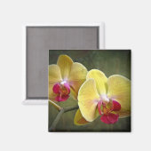 Aimant Orchidées de teigne jaune - Phalaenopsis (Recto/Verso)