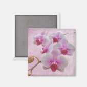 Aimant Orchidées de teigne rose - Phalaenopsis (Recto/Verso)