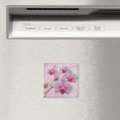 Aimant Orchidées de teigne rose - Phalaenopsis (In Situ (Lave-vaisselle))
