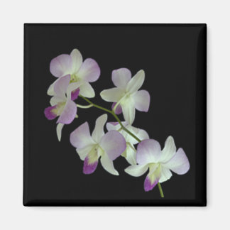 Aimant Orchidées en noir