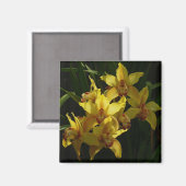 Aimant Orchidées Jaunes Sunlit Floral (Recto/Verso)