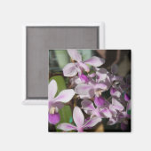 Aimant orchidées miniatures (Recto/Verso)