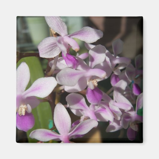 Aimant orchidées miniatures (Devant)