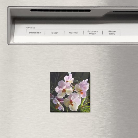 Aimant Orchidées papillons - rose (In Situ (Lave-vaisselle))