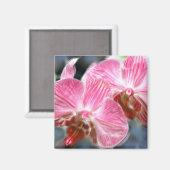 Aimant Orchidées Phalaenopsis Pink (Recto/Verso)