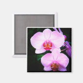 Aimant Orchidées roses du Paradis (Recto/Verso)