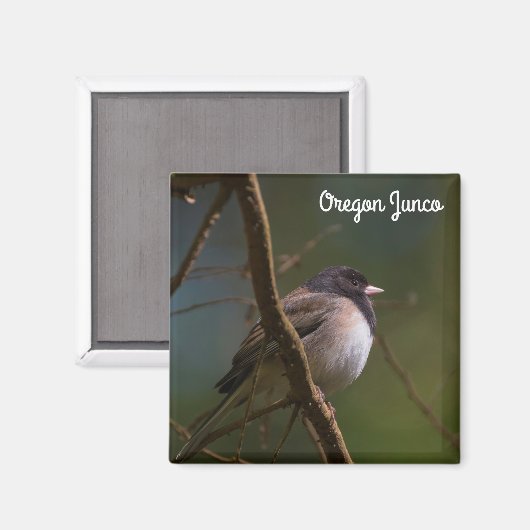 Aimant Oregon Junco (Recto/Verso)
