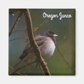 Aimant Oregon Junco (Devant)