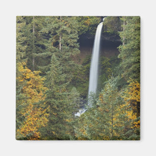 Aimant Oregon, parc d'État de Silver Falls, North Falls