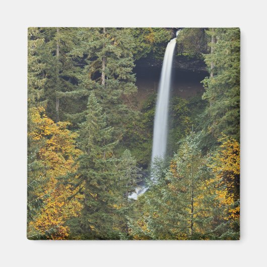 Aimant Oregon, parc d'État de Silver Falls, North Falls (Devant)