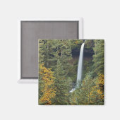 Aimant Oregon, Silver Falls State Park, North Falls (Recto/Verso)