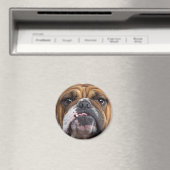 Aimant Oreillers à lancer de Bulldog anglais (In Situ (Lave-vaisselle))