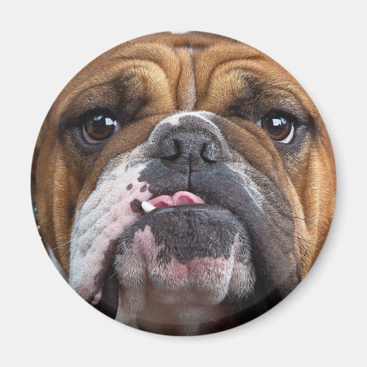 Aimant Oreillers à lancer de Bulldog anglais (Devant)