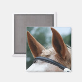 Aimant oreilles de cheval (Recto/Verso)
