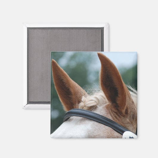 Aimant oreilles de cheval (Recto/Verso)