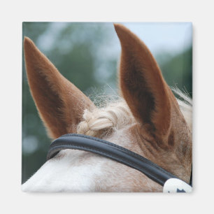 Aimant oreilles de cheval
