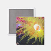 Aimant Organisme sous-marin (Recto/Verso)