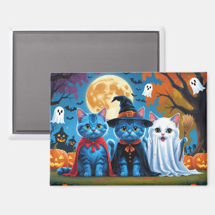 Aimant Oriental Blue Cats Citrouille Halloween Drôle