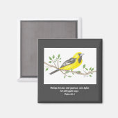 Aimant Oriole (Recto/Verso)