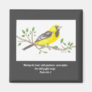 Aimant Oriole