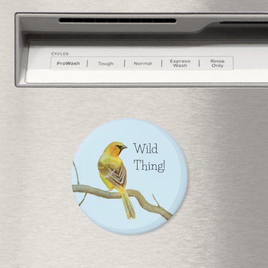 Aimant Oriole à capuchon (In Situ (Lave-vaisselle))