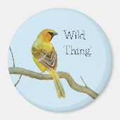 Aimant Oriole à capuchon (Devant)