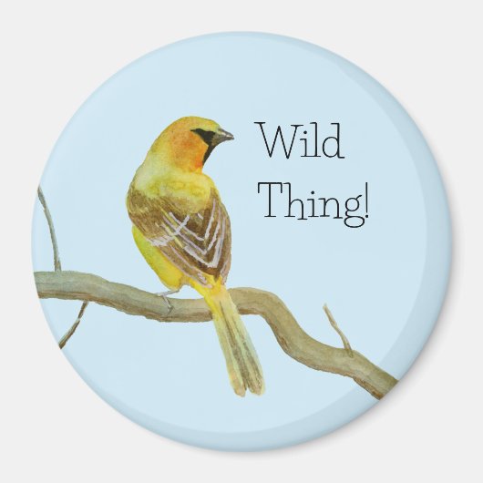 Aimant Oriole à capuchon (Devant)