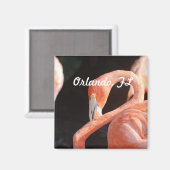 Aimant Orlando (Recto/Verso)