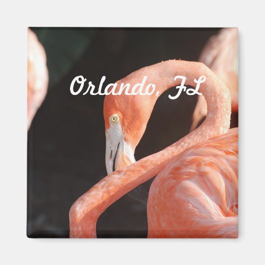 Aimant Orlando (Devant)