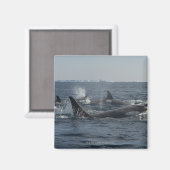 Aimant orque (Recto/Verso)