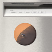 Aimant Oryx à la limite, Namibie (In Situ (Lave-vaisselle))