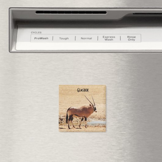 Aimant Oryx Gazella Kgalagadi Afrique (In Situ (Lave-vaisselle))