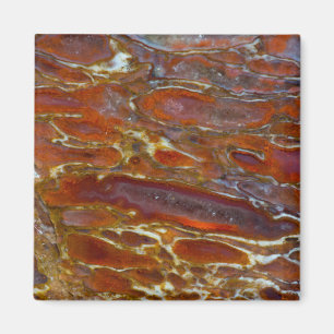 Aimant Os Petrifié de Dinosaure