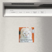 Aimant Oscar le chat drôle insultant (In Situ (Lave-vaisselle))