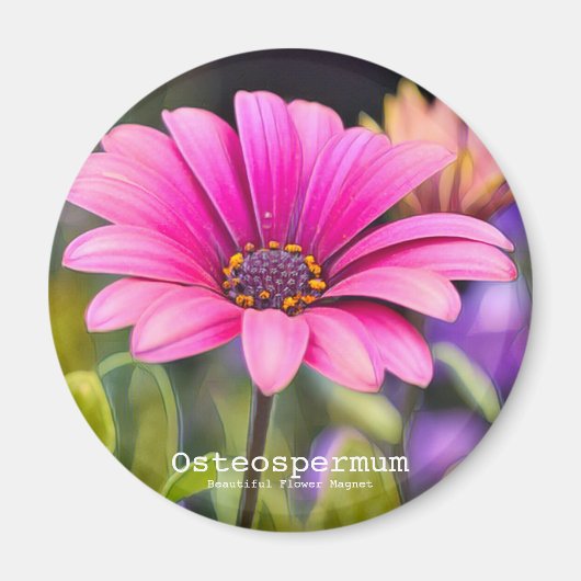 Aimant Ostéospermum (Devant)