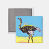 Aimant Ostrich (Recto/Verso)